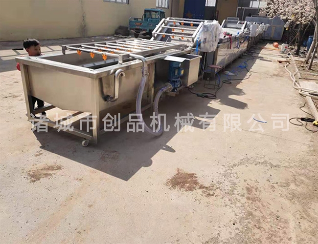蔬菜清洗機(jī)